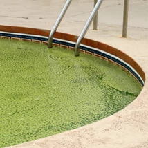 PoolDoctor medence mentés